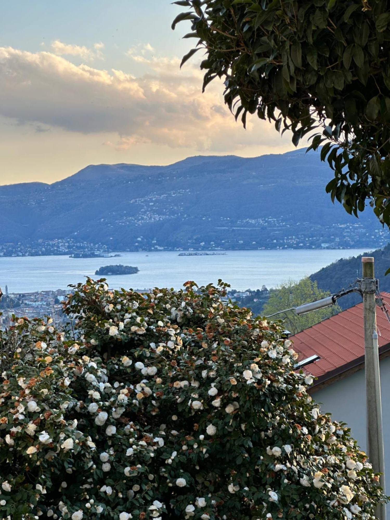 Villa Simonetta Bee Exterior foto